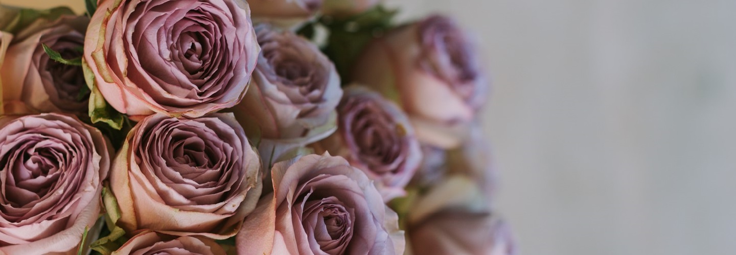 Bouquets de roses mauves