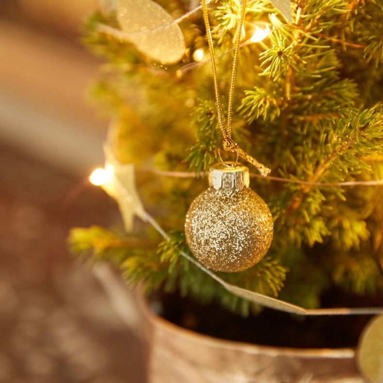 Gaspard, le petit sapin doré