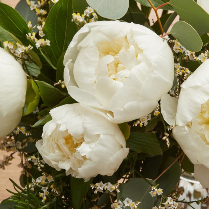 Bouquet Clémence 