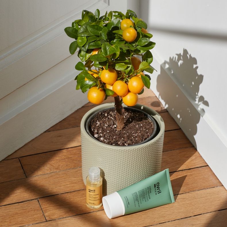 Pack Marcel et coffret barbe