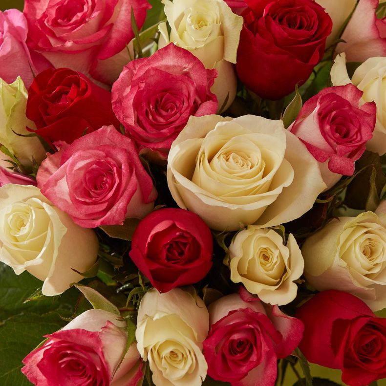 Maman Douce - 25 roses