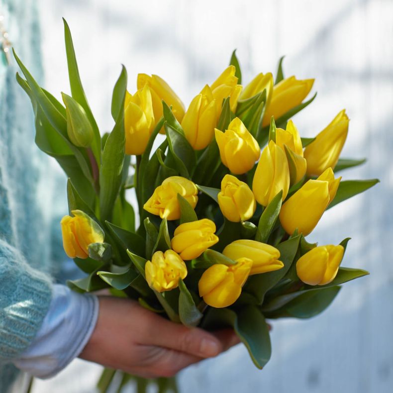 Botte de tulipes jaunes