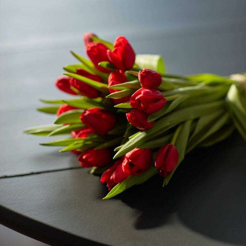 Botte de tulipes rouges