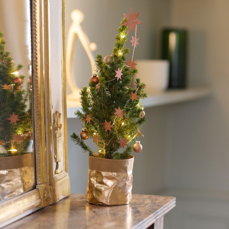 Ernest, le petit sapin rose cuivré