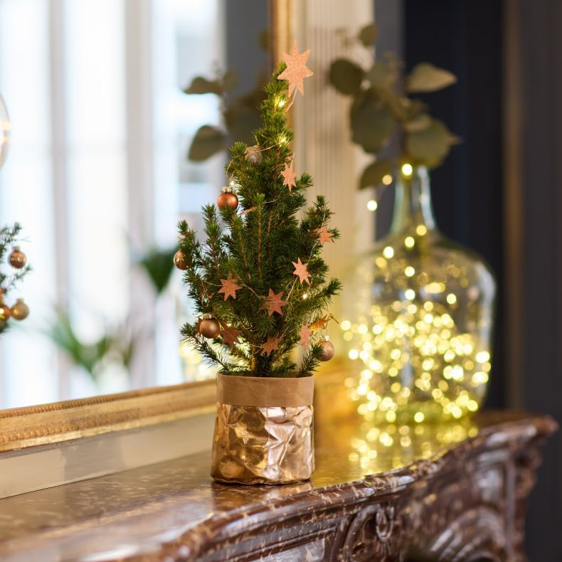 Ernest, le petit sapin rose cuivré