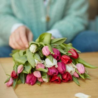 Bouquet de tulipes