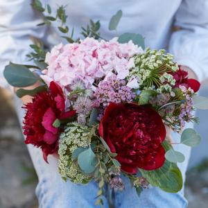 Inès, un bouquet romantique de pivoine « Red Charm » avec un hortensia rose pâle. L’ami, le wax et l’astrantia viennent ajouter une touche féminine à souhait ! 

#pivoine#peonie#hydrangea#hortensia#bouquetdefleurs#fleursite#lesfleursdenicolas#producer#producteur#fleursfrancaise