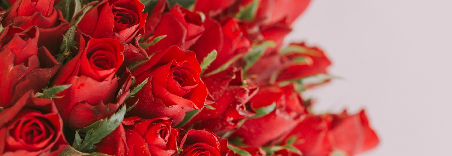 Bouquets de roses rouges