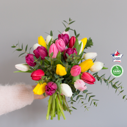 Bouquet de tulipes colorées