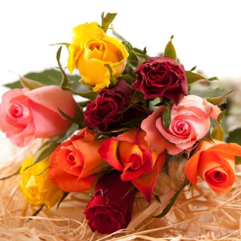 Sodastream - Bouquet de 10 roses