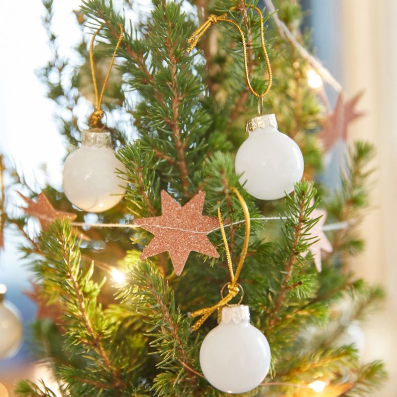Ernest, le petit sapin blanc et gold