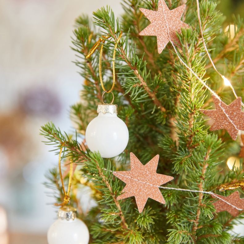 Ernest, le petit sapin blanc et gold