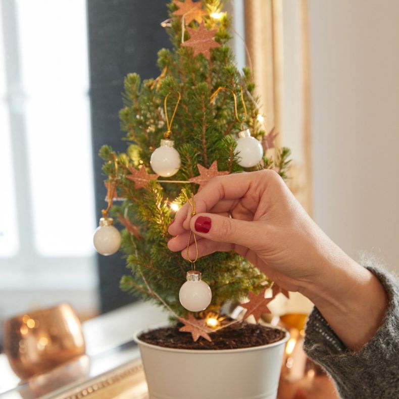 Ernest, le petit sapin blanc et gold
