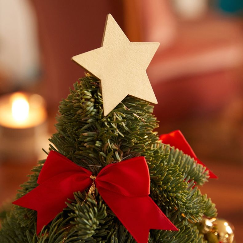Rudolph, le sapin rouge