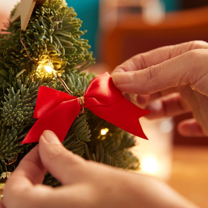 Rudolph, le sapin rouge
