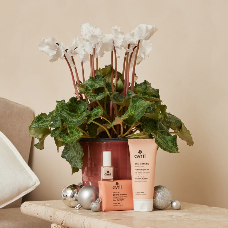Pack Martin et coffret mains