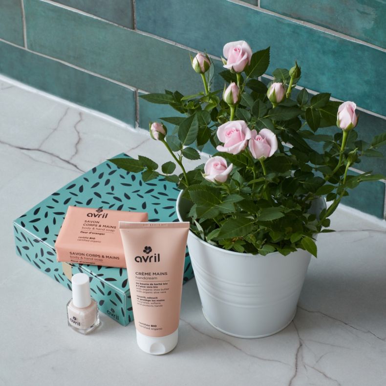 Pack rosier et coffret" Jolies Mains"