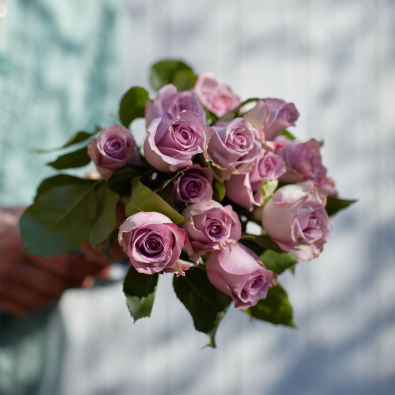 Botte de roses Dancing Cloud
