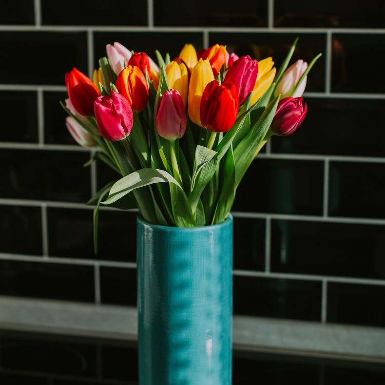 Tulipes Arc-en-ciel