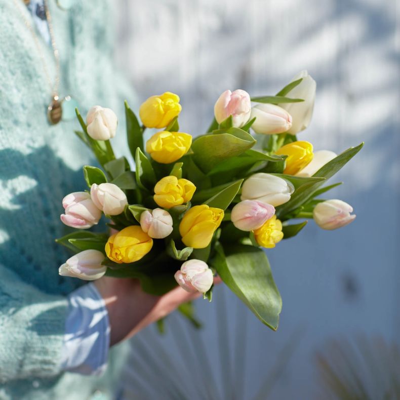 Botte de tulipes du printemps