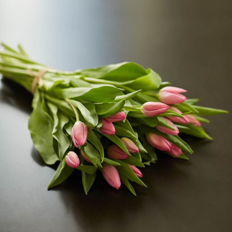 Botte de tulipes roses
