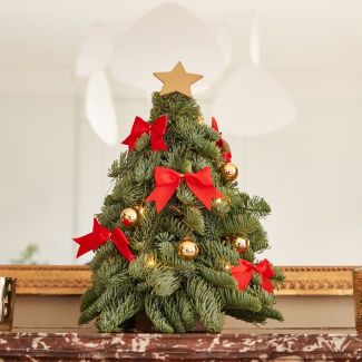 Rudolph, le sapin rouge