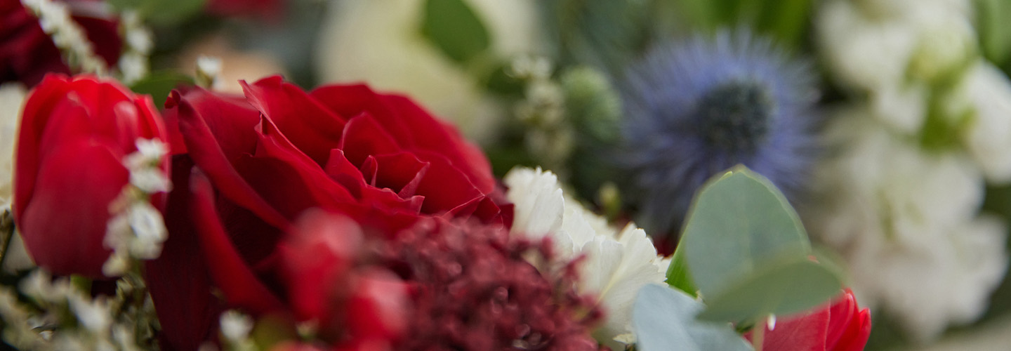 Un Noël féérique et fleuri ! 