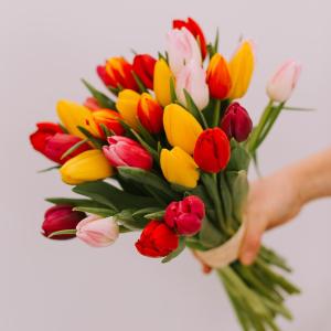 Un peu de fraicheur avec notre botte de tulipes Arc-en-ciel pour bien débuter la semaine ! ☀️???? #lesfleursdenicolas #fleurs #fleursite #bouquetdefleurs #printemps #sping #producteur #productionlocale #madeinfrance #amour #tulipes #fleursdesaison
