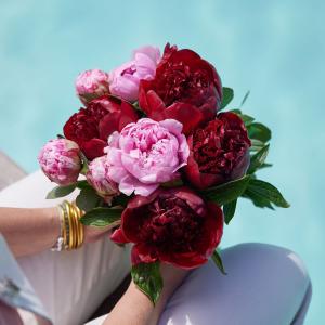 La fête des Mères est dans quelques jours… A court d’idées ? Succombez à notre brassée Capucine, composée de 2 variétés de pivoines pour encore plus de couleurs ???? 

???? Informations livraisons ????

Pour toute la France, vous avez jusqu’au vendredi 2 juin 17h pour commander et être livrés samedi 3 juin

Pour les villes suivantes, vous avez jusqu’au vendredi 2 juin 17h pour commander et être livrés dimanche 4 juin : 
Grenoble, Reims et Nice

Pour les villes suivantes, vous avez jusqu’au samedi 3 juin 12h pour commander et être livrés dimanche 4 juin : 
Marseille, Toulouse, Bordeaux, Nantes, Lille, Strasbourg, Lyon, Le Mans, Rennes, Montpellier, Paris et la région parisienne  #lesfleursdenicolas #fleurs #fleursite #bouquetdefleurs #printemps #sping #producteur #productionlocale #madeinfrance #maman #fetedesmeres #pivoine #bouquet #fleurs #flowers