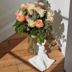 Une naissance ? Un anniversaire ? Notre pack composé de notre bouquet Victoria et d’une peluche de la marque @doudouetcompagnie_officiel  est idéal pour envoyer une délicate attention partout en France ! ????????

#lesfleursdenicolas #fleurs #fleursite #bouquetdefleurs #ete #summer #producteur #productionlocale #madeinfrance #bouquet #fleurs #flowers #naissance #anniversaire #doudou #peluche