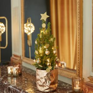 Gaspard, notre petit sapin doré a le pouvoir d’illuminer tous les intérieurs ! Notre Gaspard vous est livré avec ses décorations, sa guirlande et son cache-pot ????

#lesfleursdenicolas #fleurs #fleursite #bouquetdefleurs #noel #christmas #productionlocale #madeinfrance #sapin #sapindenoel